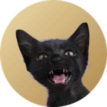 A black kitten on a gold disc