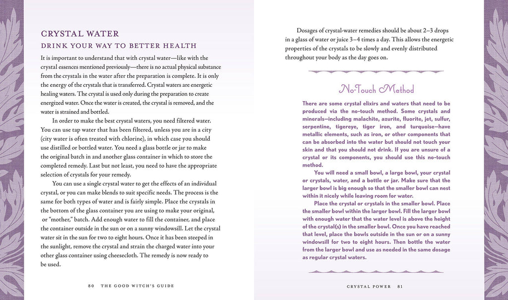 Good Witch's Guide by Shawn Robbins