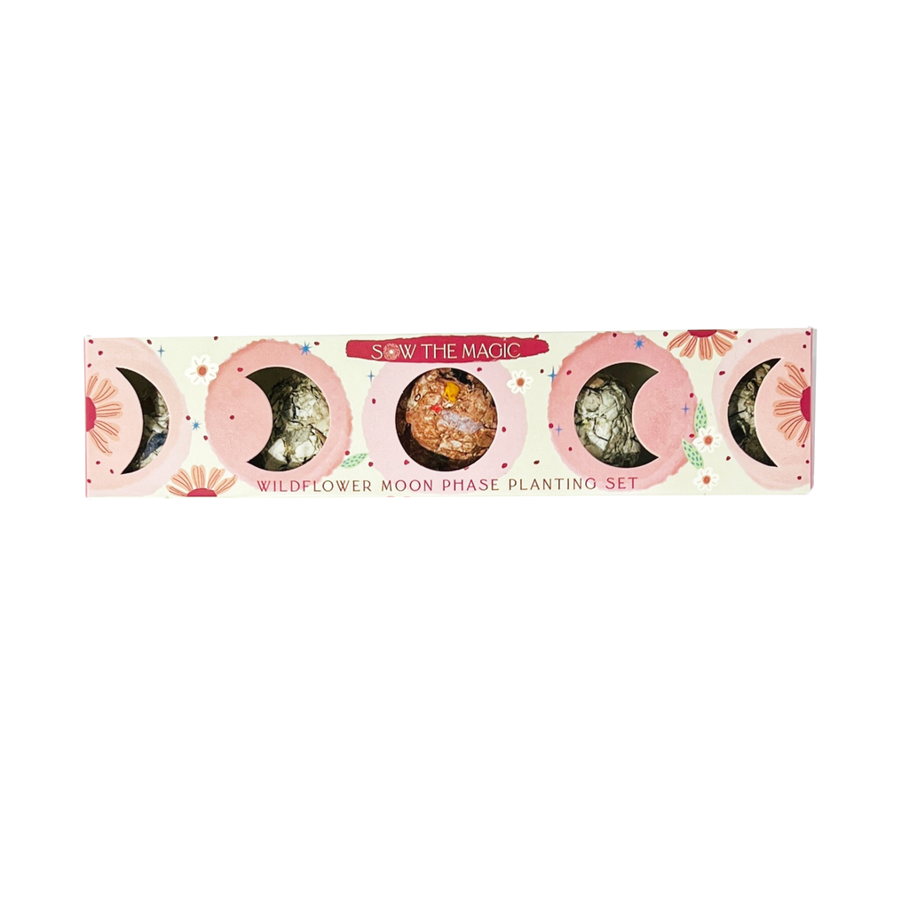 Moon Phase Wild Flower Seed Planting Set