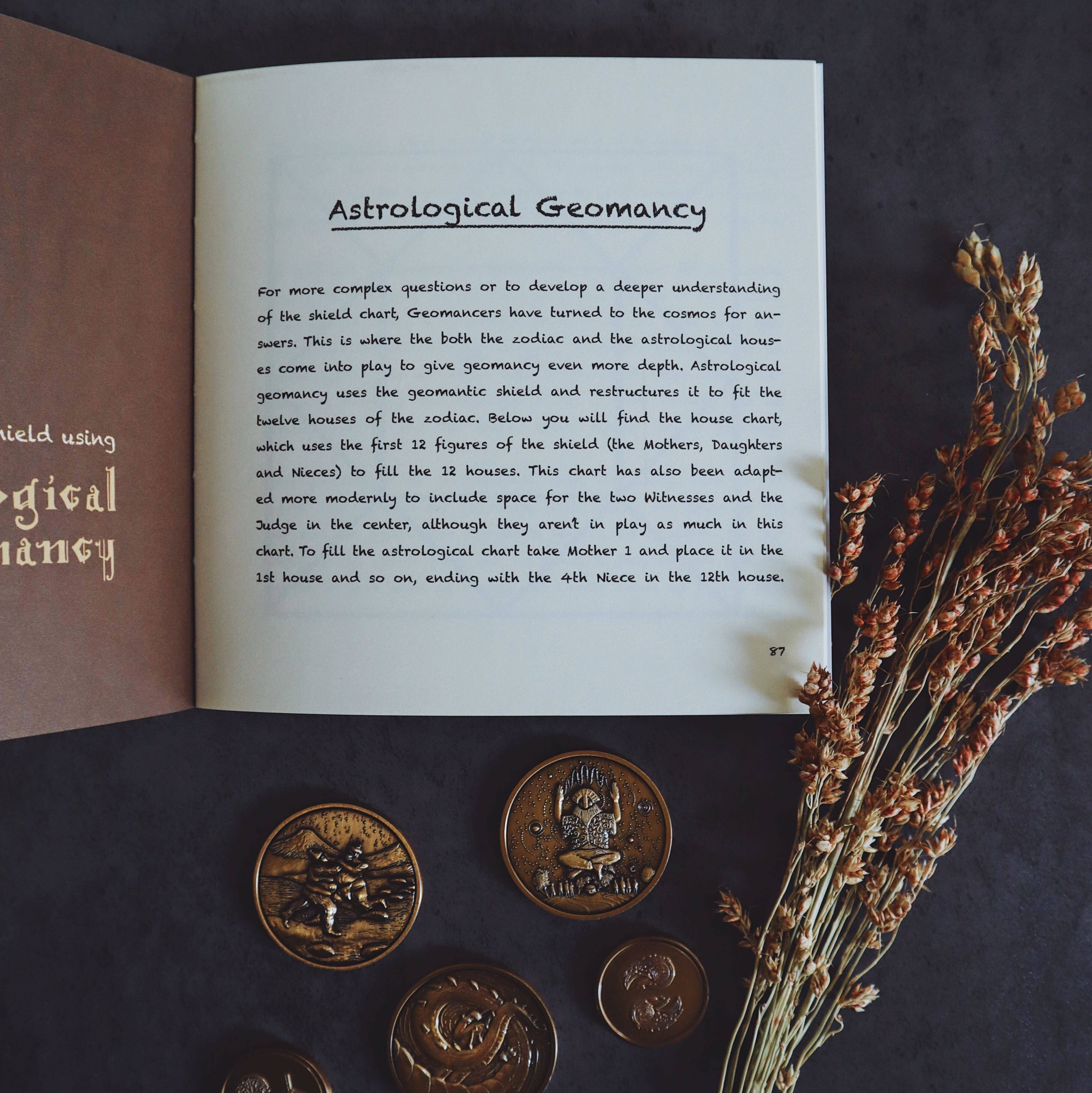 Geomantic Visions (Set of 20 Coins)