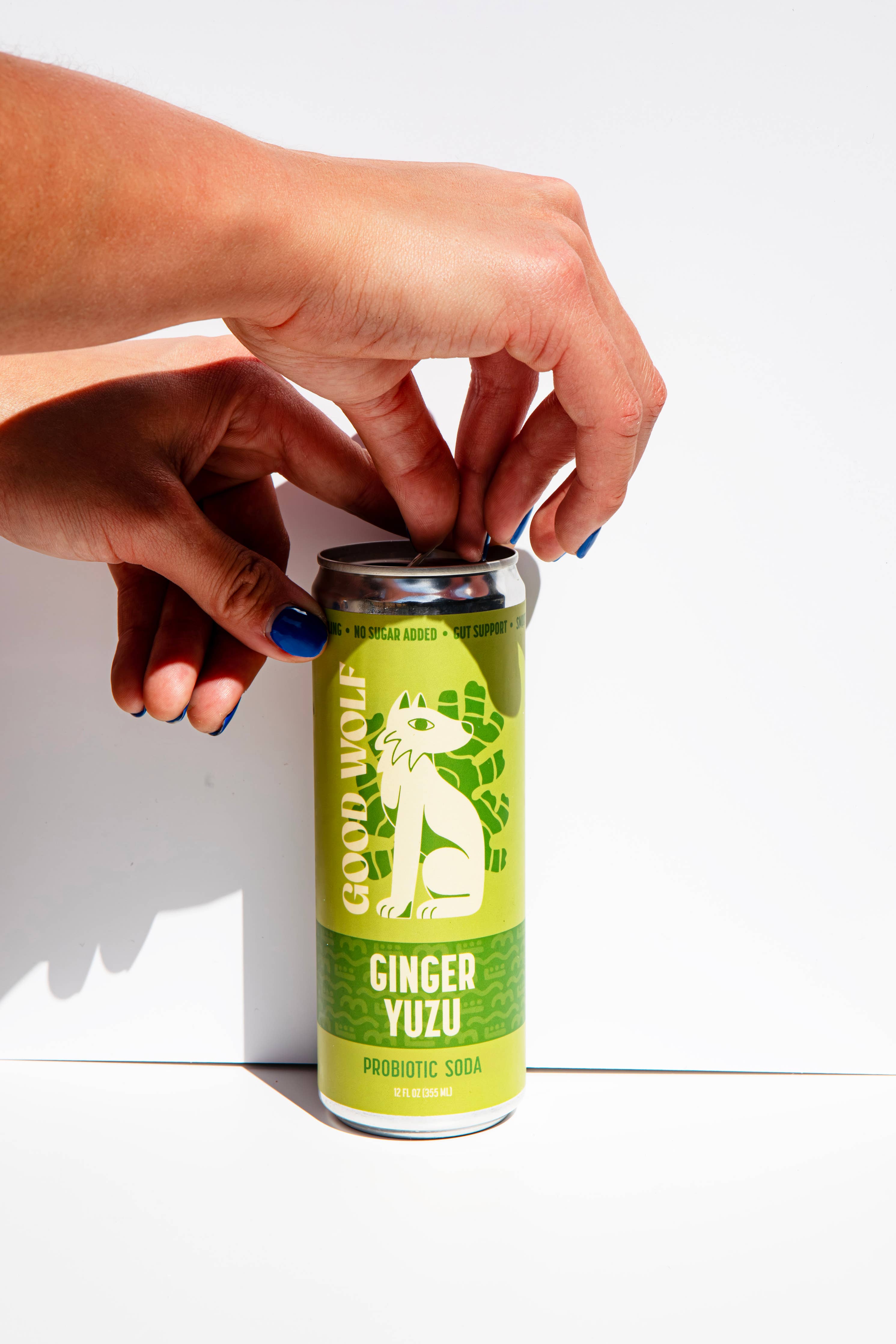Probiotic Soda Variety Pack - No Added Sugar; Hand-Crafted