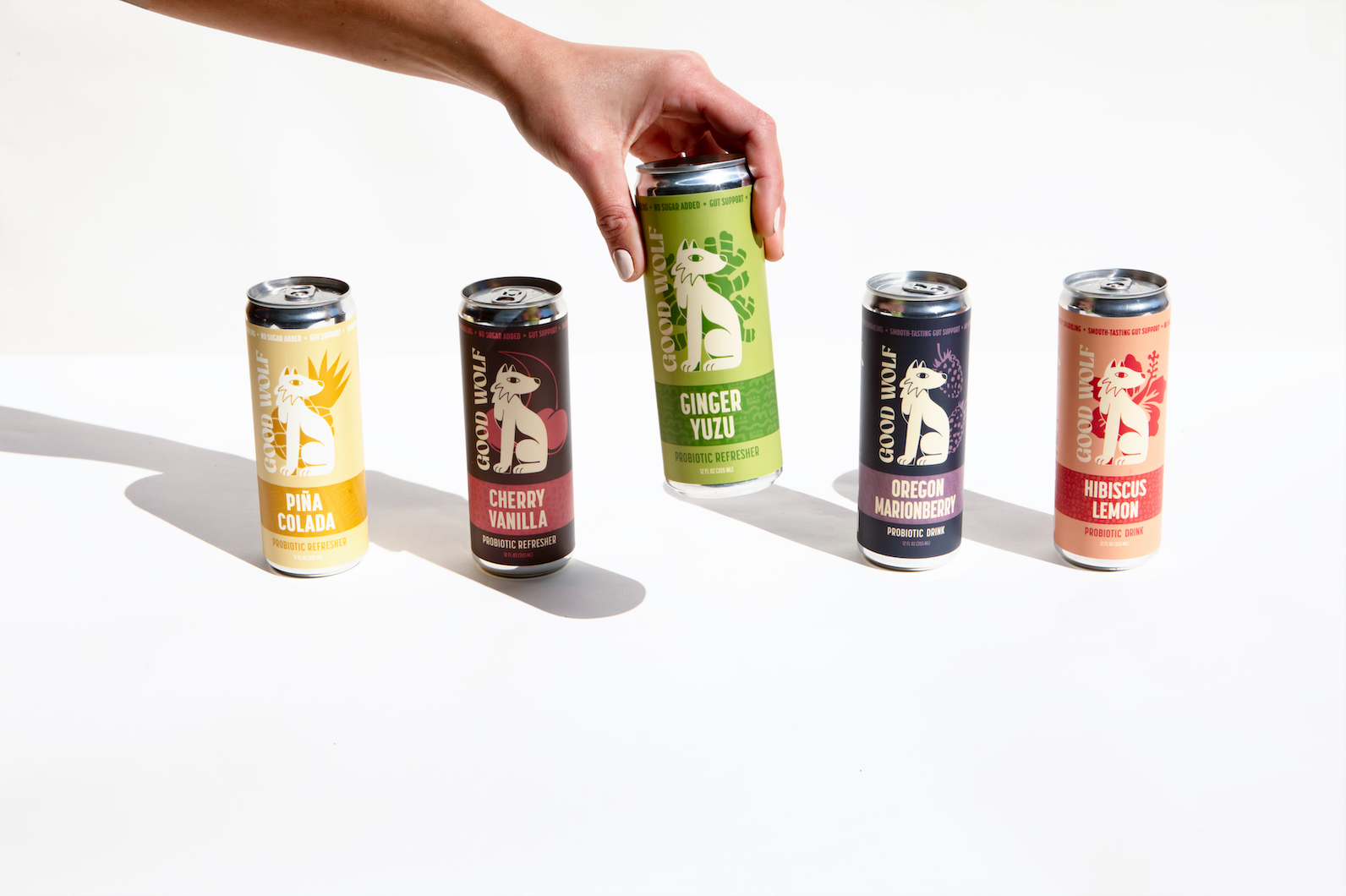 Probiotic Soda Variety Pack - No Added Sugar; Hand-Crafted