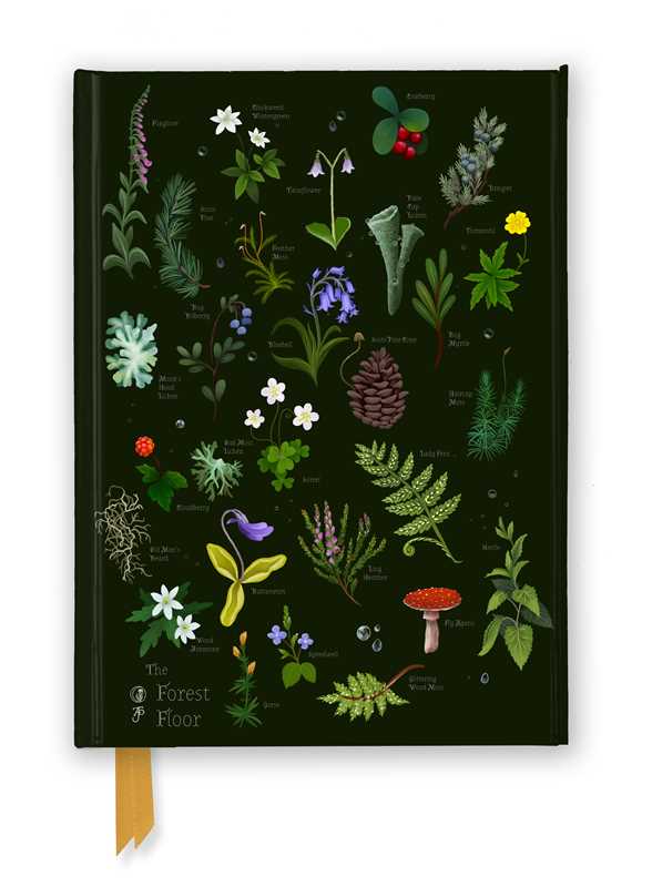 Anna Stead: The Forest Floor (Foiled Journal) by