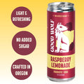 Raspberry Lemonade Probiotic Soda - No Added Sugar