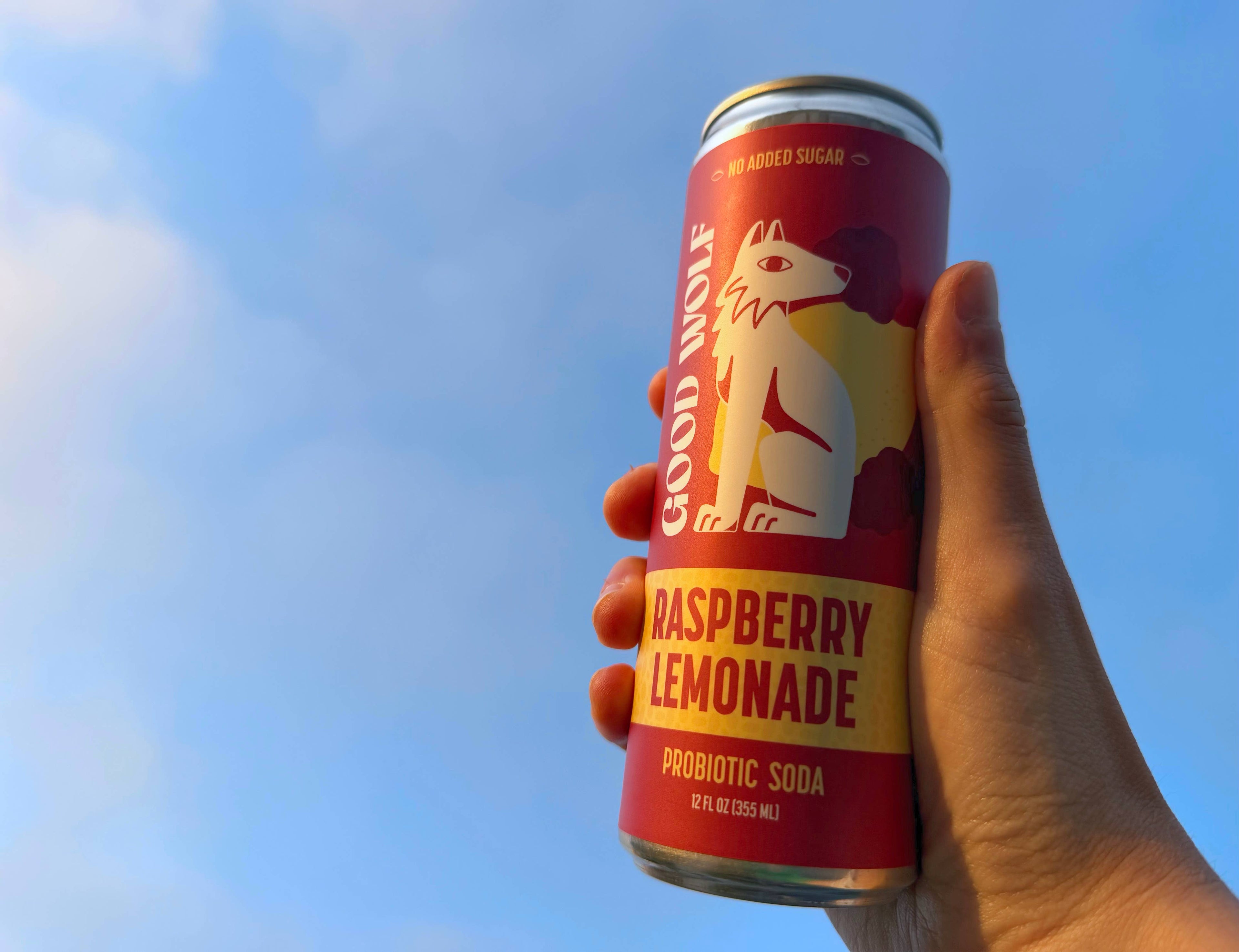 Raspberry Lemonade Probiotic Soda - No Added Sugar